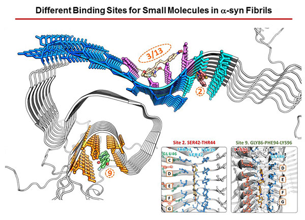 Radiopharmaceutical Chemistry and Biology Lab a-syn Fibrils graphic